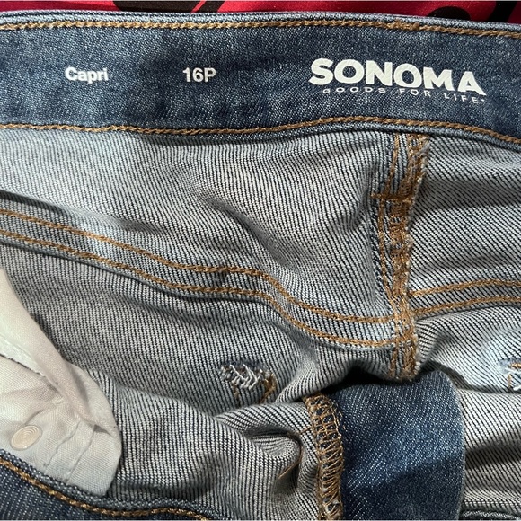 Sonoma Capri. Size 16P. - Picture 2 of 2